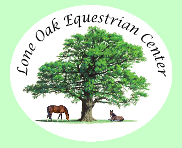 Lone Oak Tree